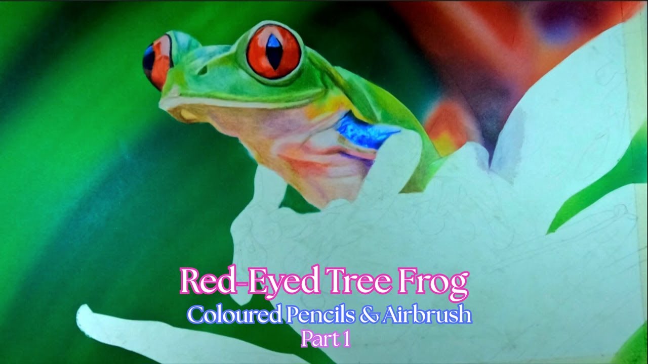 Red-Eyed Tree Frog Drawing | Coloured Pencils & Airbrush - Time-Lapse Part 1