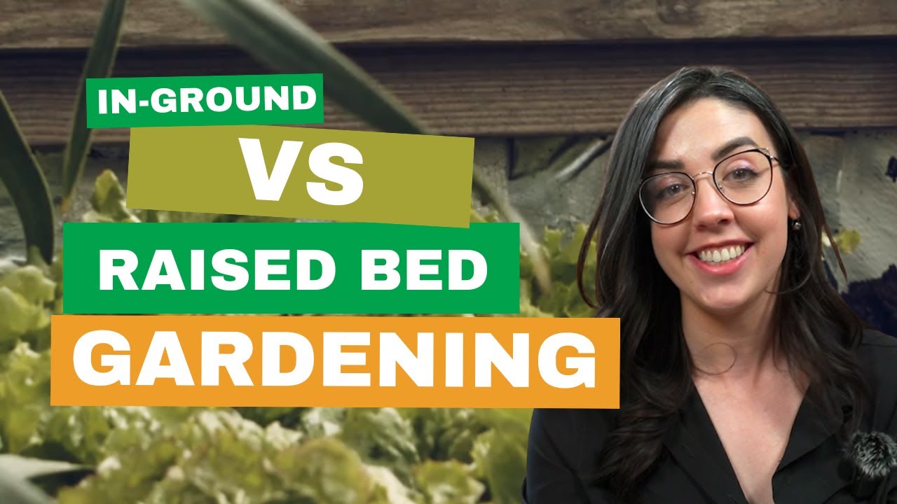 Raised Beds VS In Ground Gardening: Which is Best? Here's Pros and Cons for BOTH!