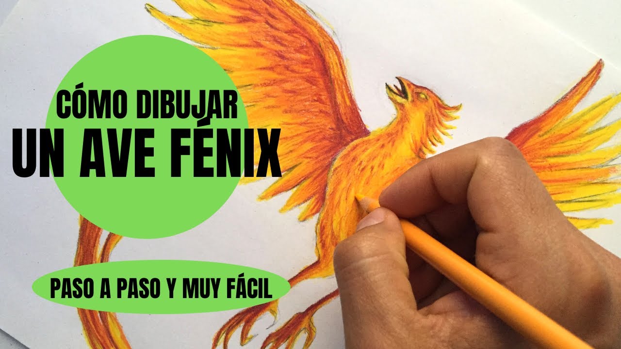 😱🔥Te digo Cómo Dibujar Un Ave Fénix realista Paso a Paso ✍🙀 ¡Muy fácil!