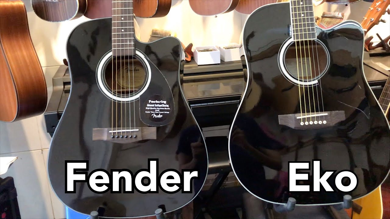 Fender CD60 vs Eko Ranger C6 | So sánh âm thanh và chất liệu