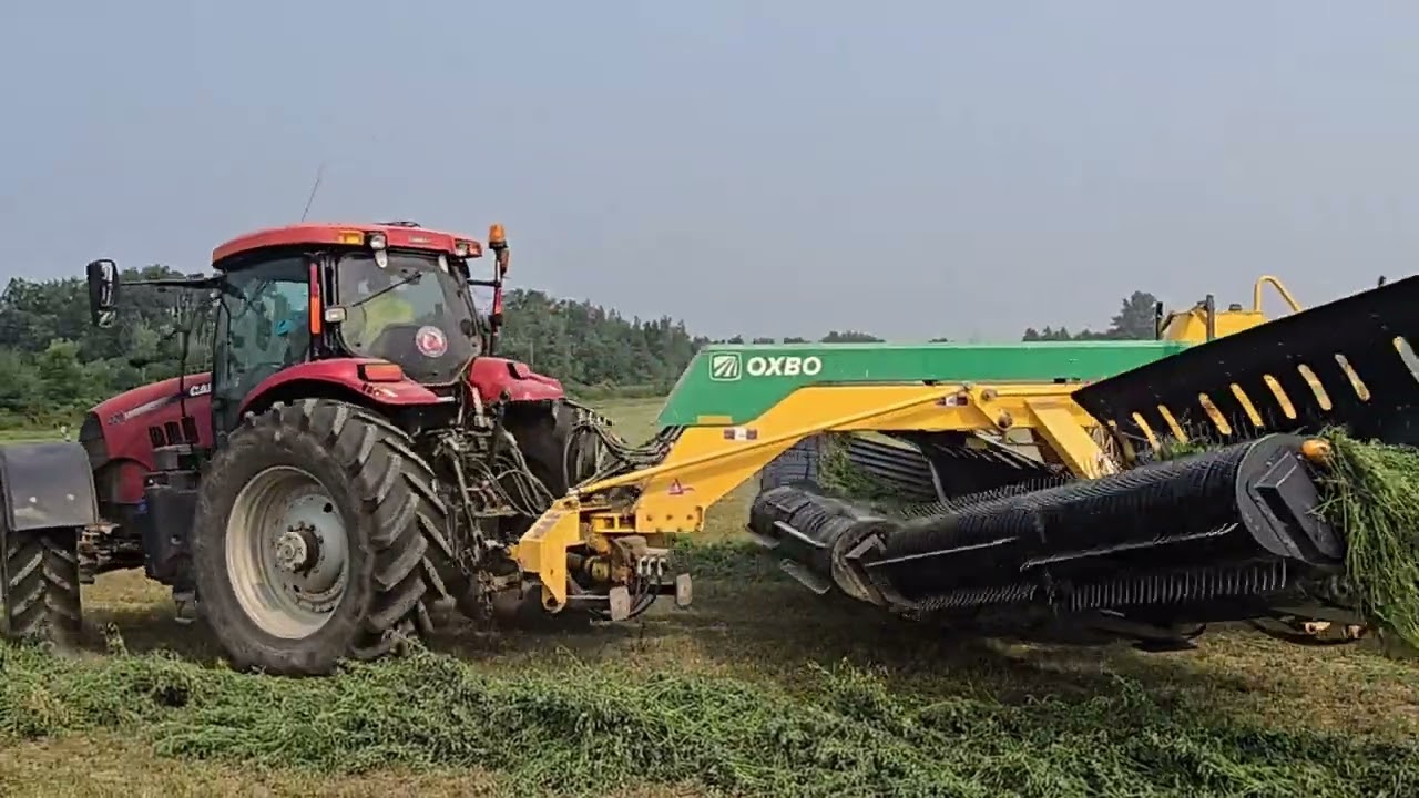 Keyser Creek Farms - Raking alfalfa early August 25'  #farmvideos #farming #tractorvideo 