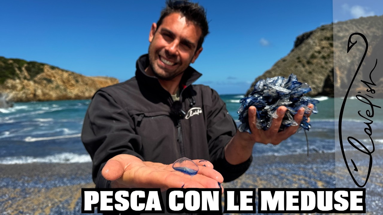 A pesca di SARAGHI con le MEDUSE