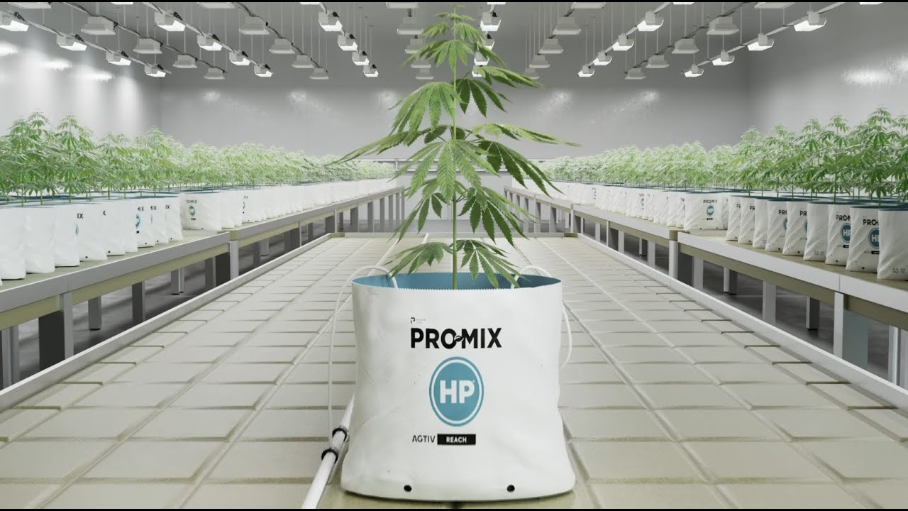 PRO-MIX&reg; HP&reg; AGTIV Open Top Grow Bags