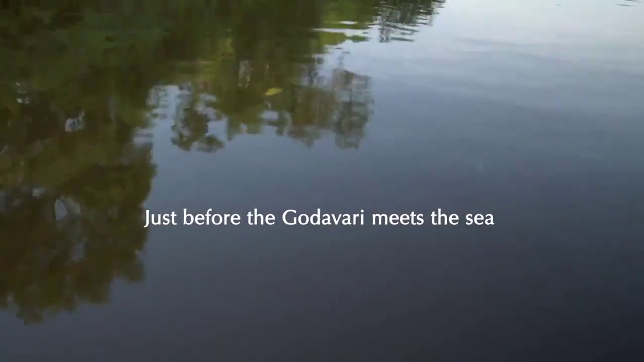 Andhrapradesh tour #godavari #wildlife #Aptourism