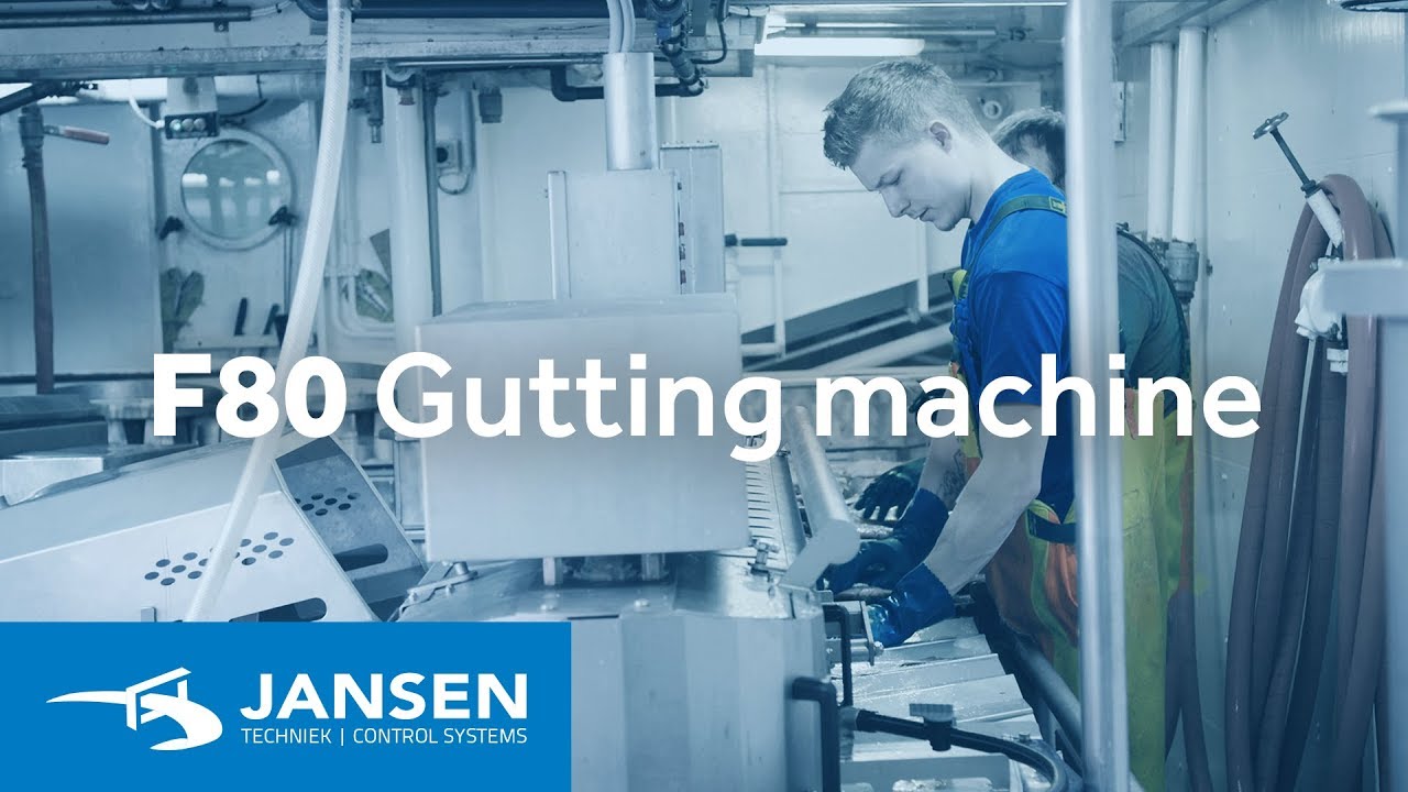 F80 Flat Fish Gutting Machine