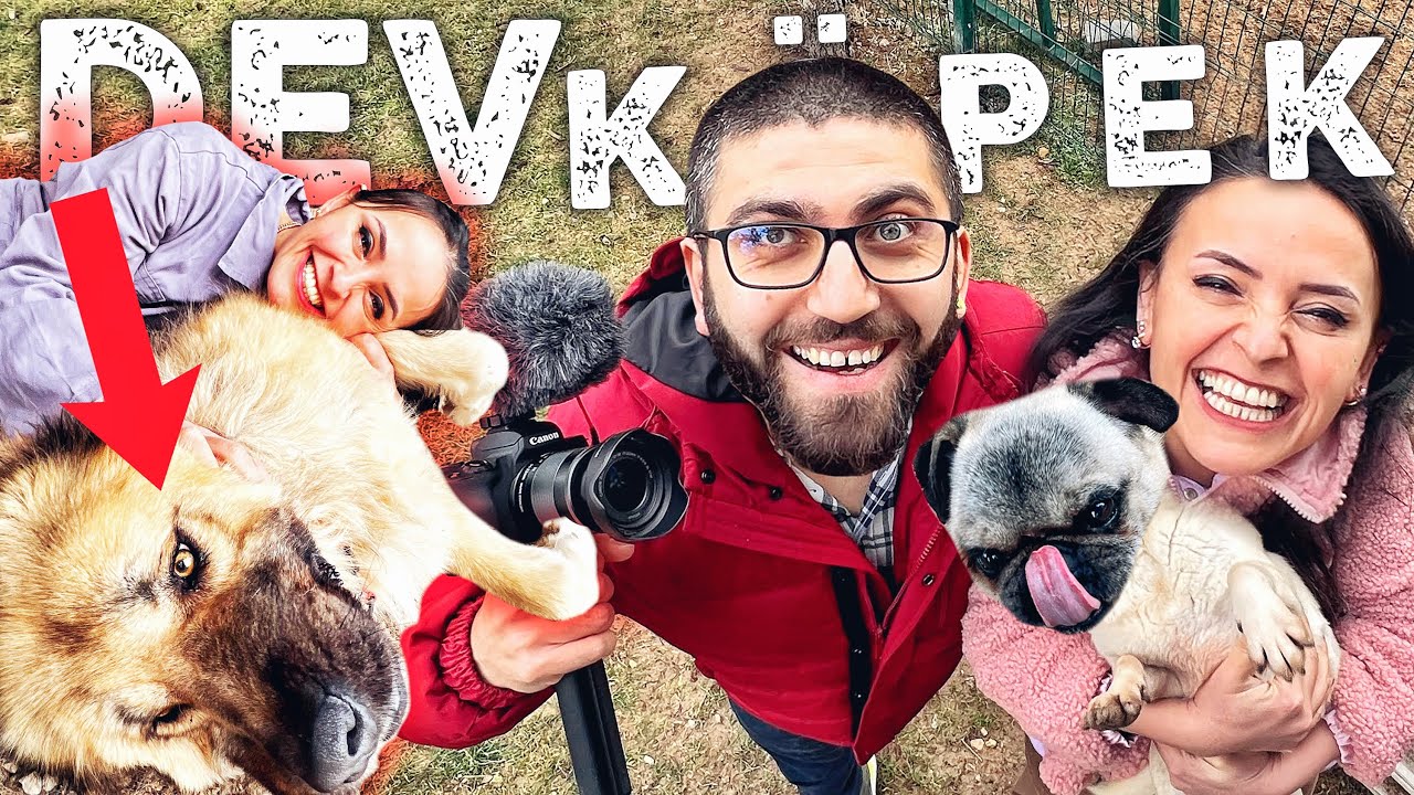 100 KÖPEK İÇİNE GİRDİK! #seninsayende DoBiDa'lı!