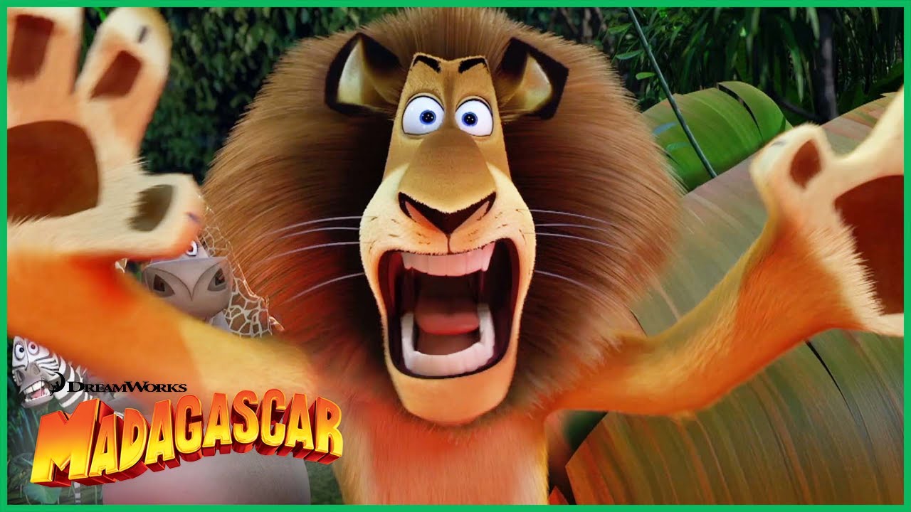 Alex se assusta com um aranha falante 🦁🕷️ Madagascar | Desenhos Animados em Português