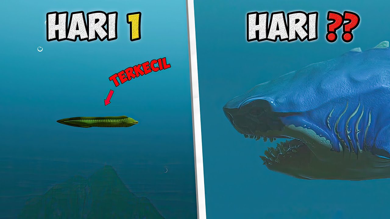 Gua Menjadi Belut Laut TERLEMAH Hingga TERKUAT Untuk Melawan MEGALODON di Feed and Grow Fish #1