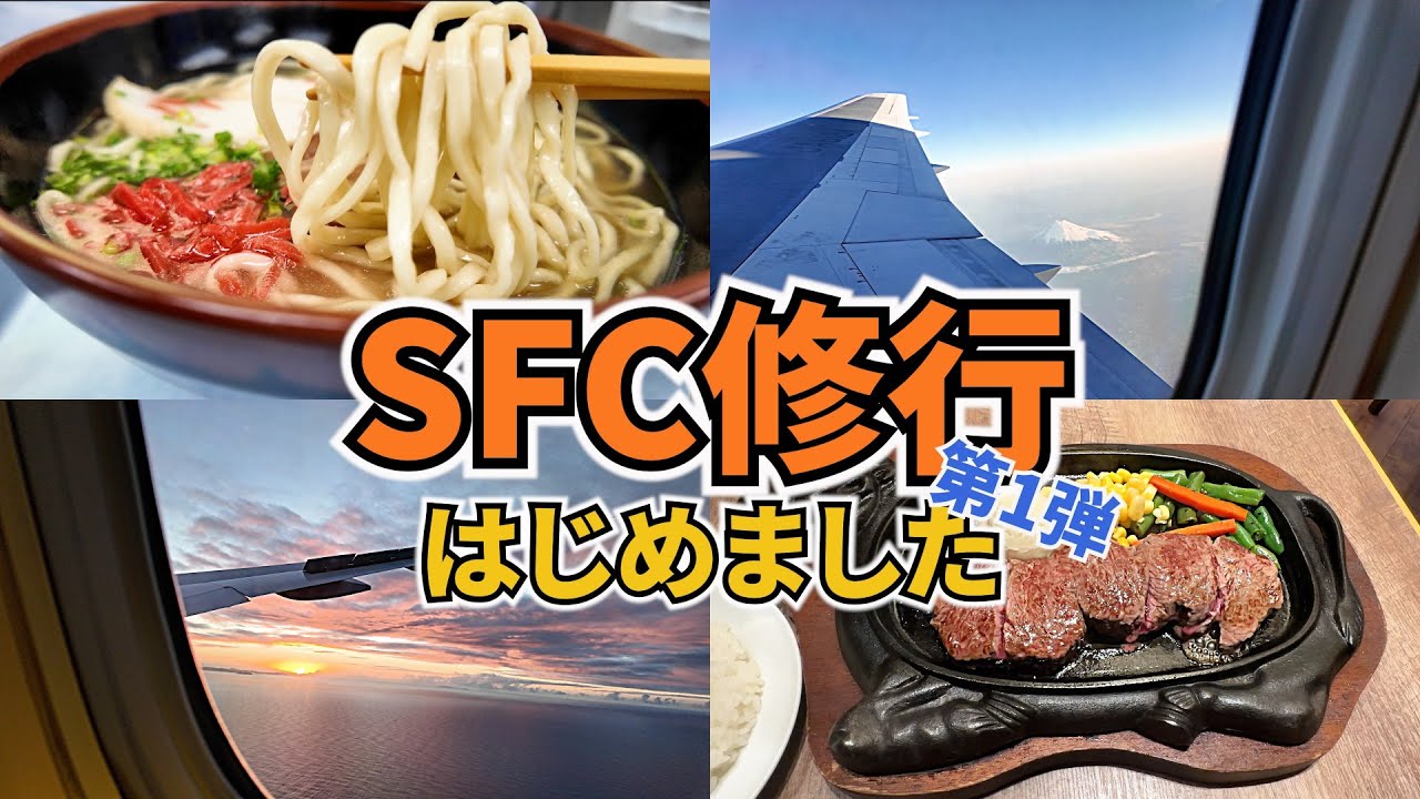 【SFC修行始めました！】まずは羽田－那覇を1日で2往復します！！