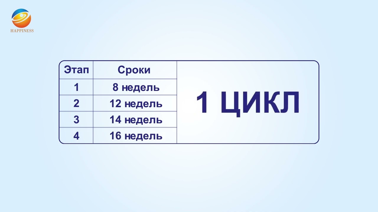 Маркетинг план Happiness💯