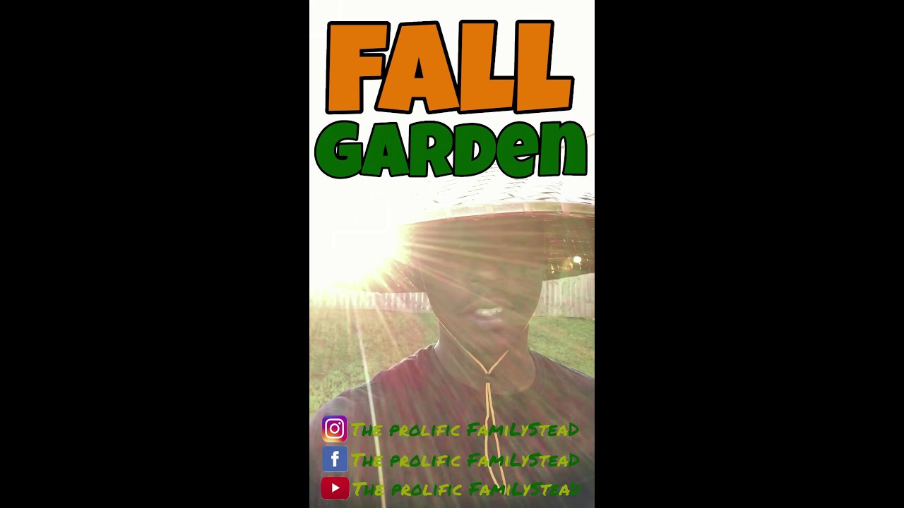 What to Plant in Fall Garden  #shorts #gardening #tips #foryou #garden