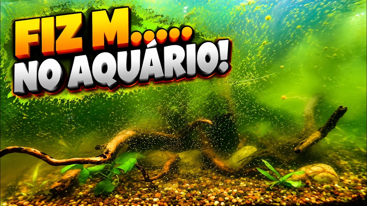 FUI ELIMINAR AS ALGAS VERDES DO AQUÁRIO E DEU TUDO ERRADO!