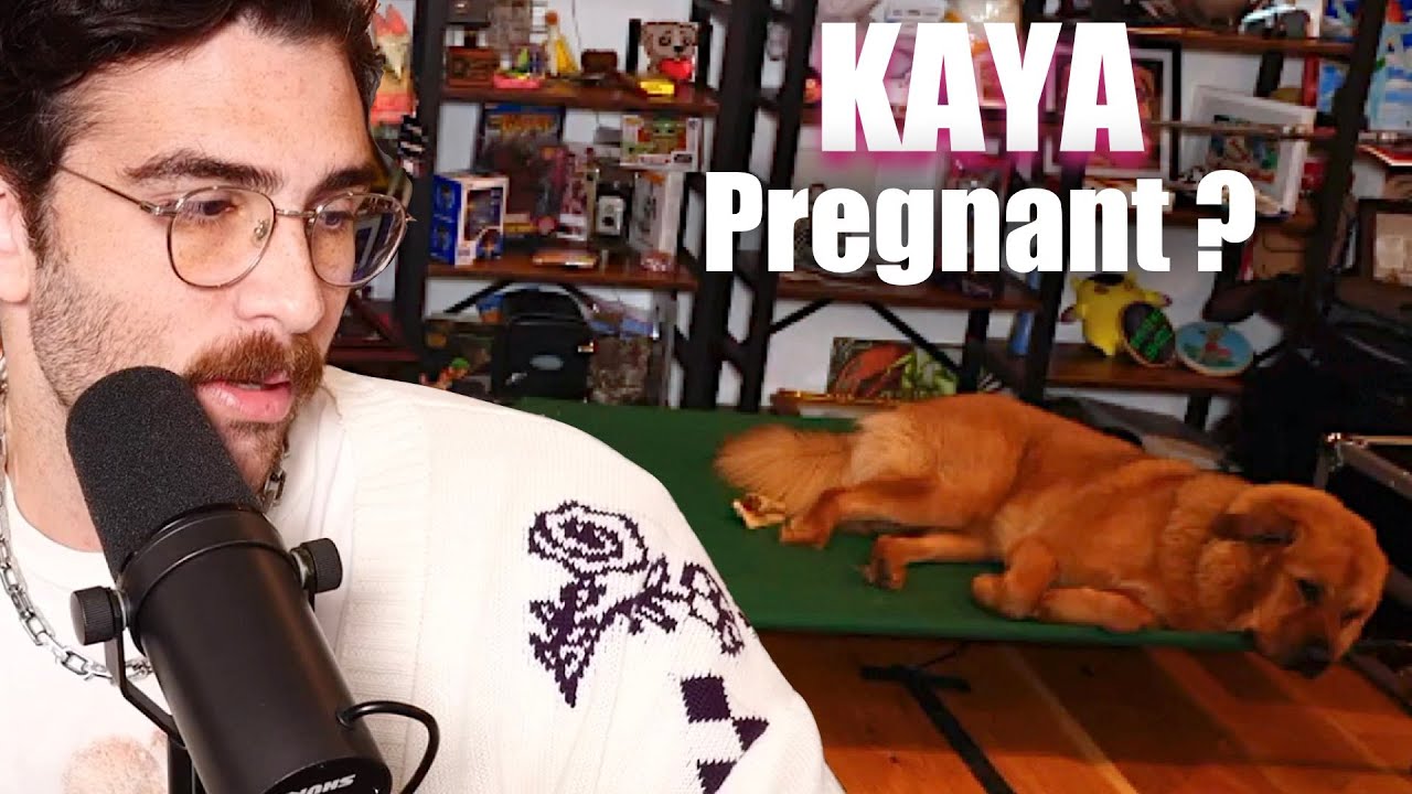 Hasan's' Puppy Kaya Taken To The Vet | HasanAbi Reacts