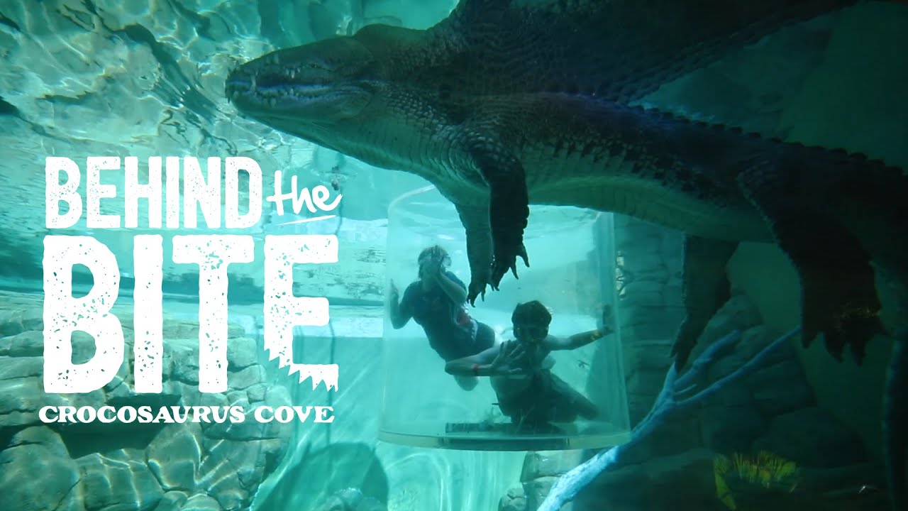 Behind the Bite: The Cage of Death at Crocosaurus Cove