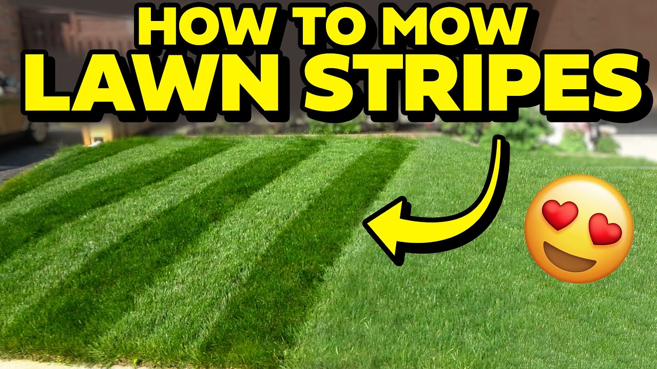 2024 BEST LAWN STRIPES Tutorial