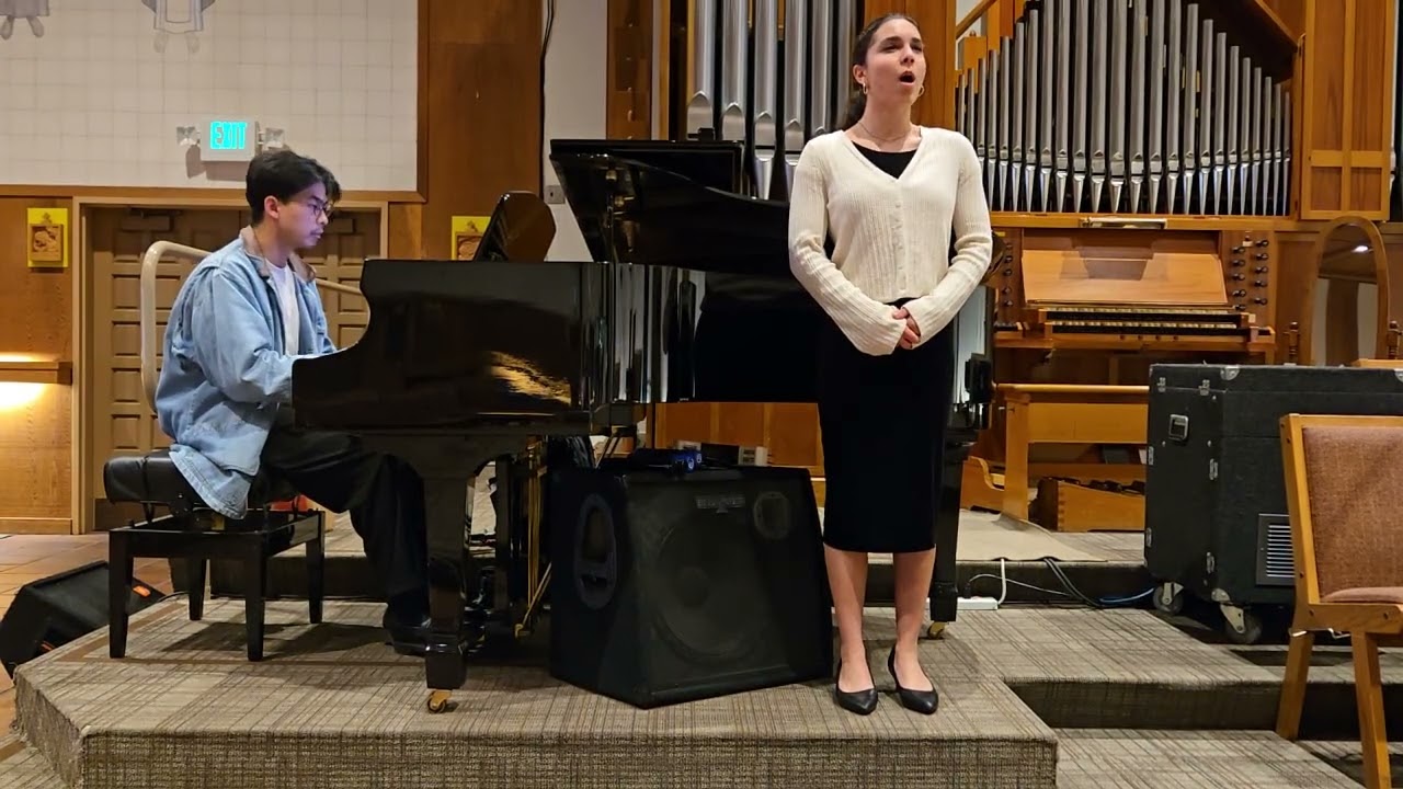 Leise Flehen Meine Lieder by Franz Schubert