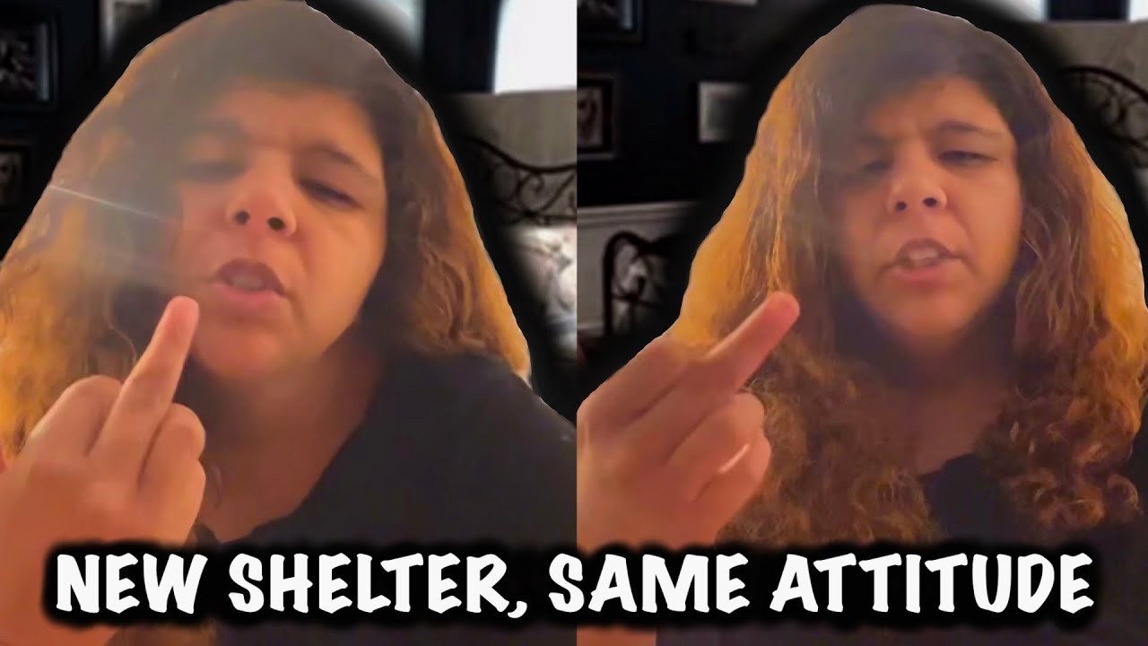 Tophia moves to ANOTHER shelter