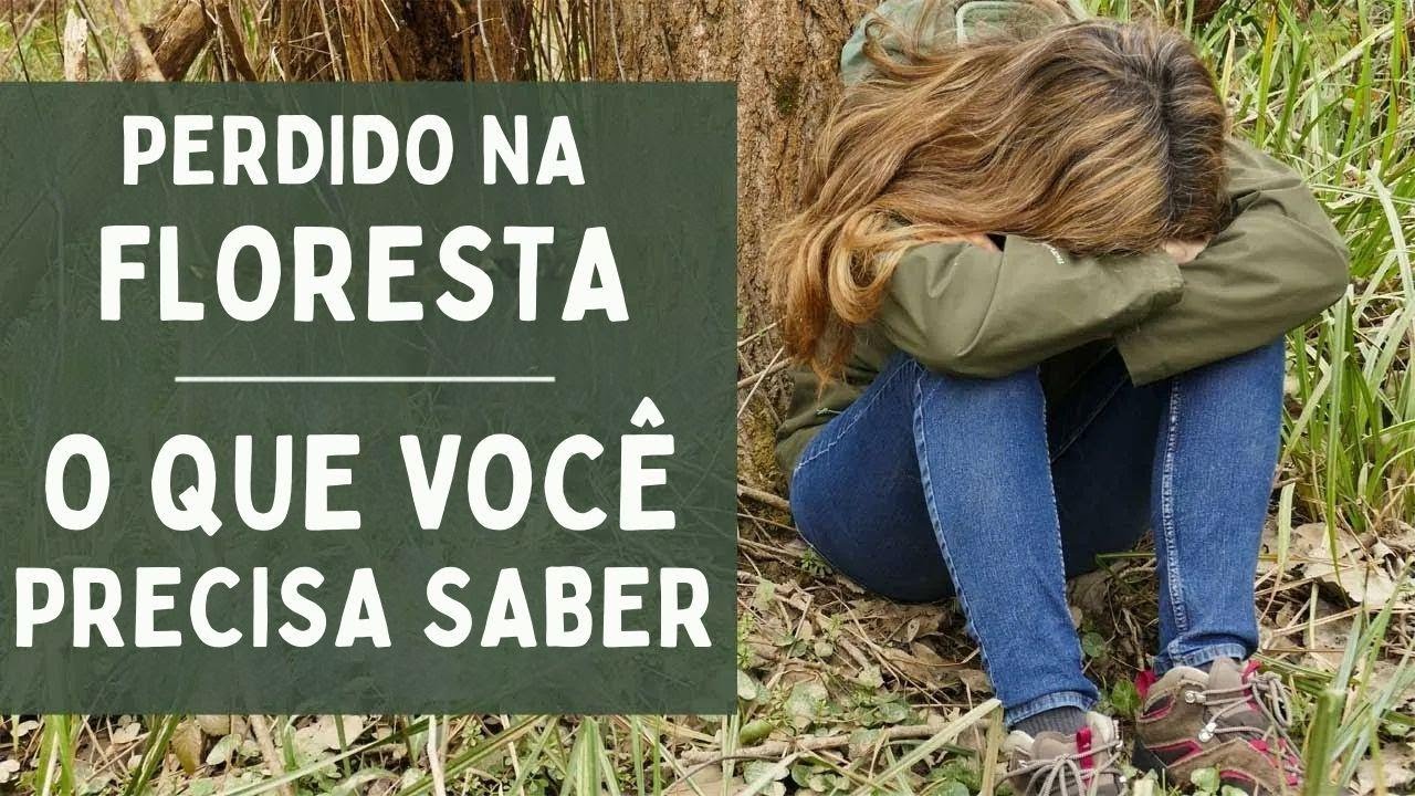 Como nunca se perder na floresta: dicas essenciais que você precisa saber