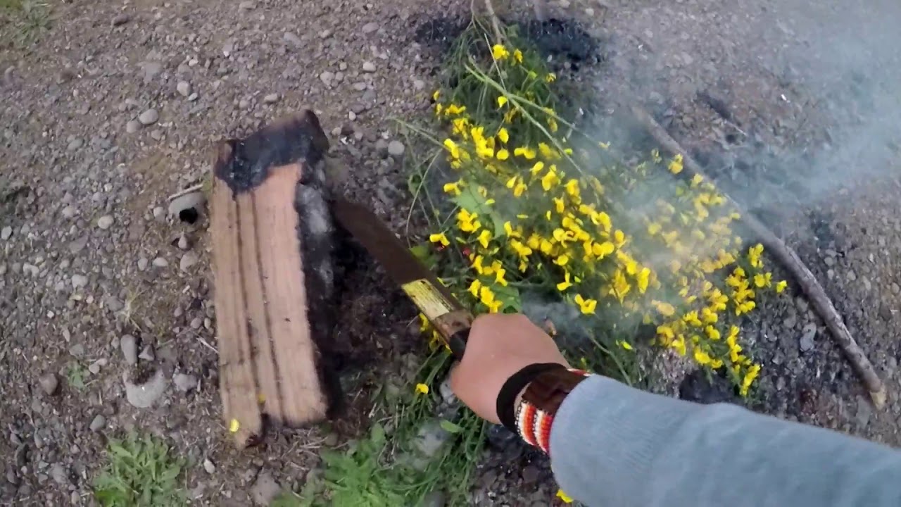 Dispersed (free) camping in Washington, USA.....and how NOT to avoid bears...