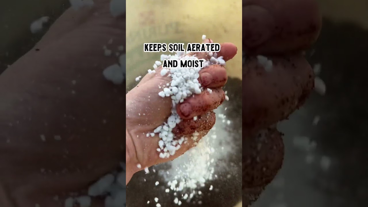 DIY Potting Soil Recipe