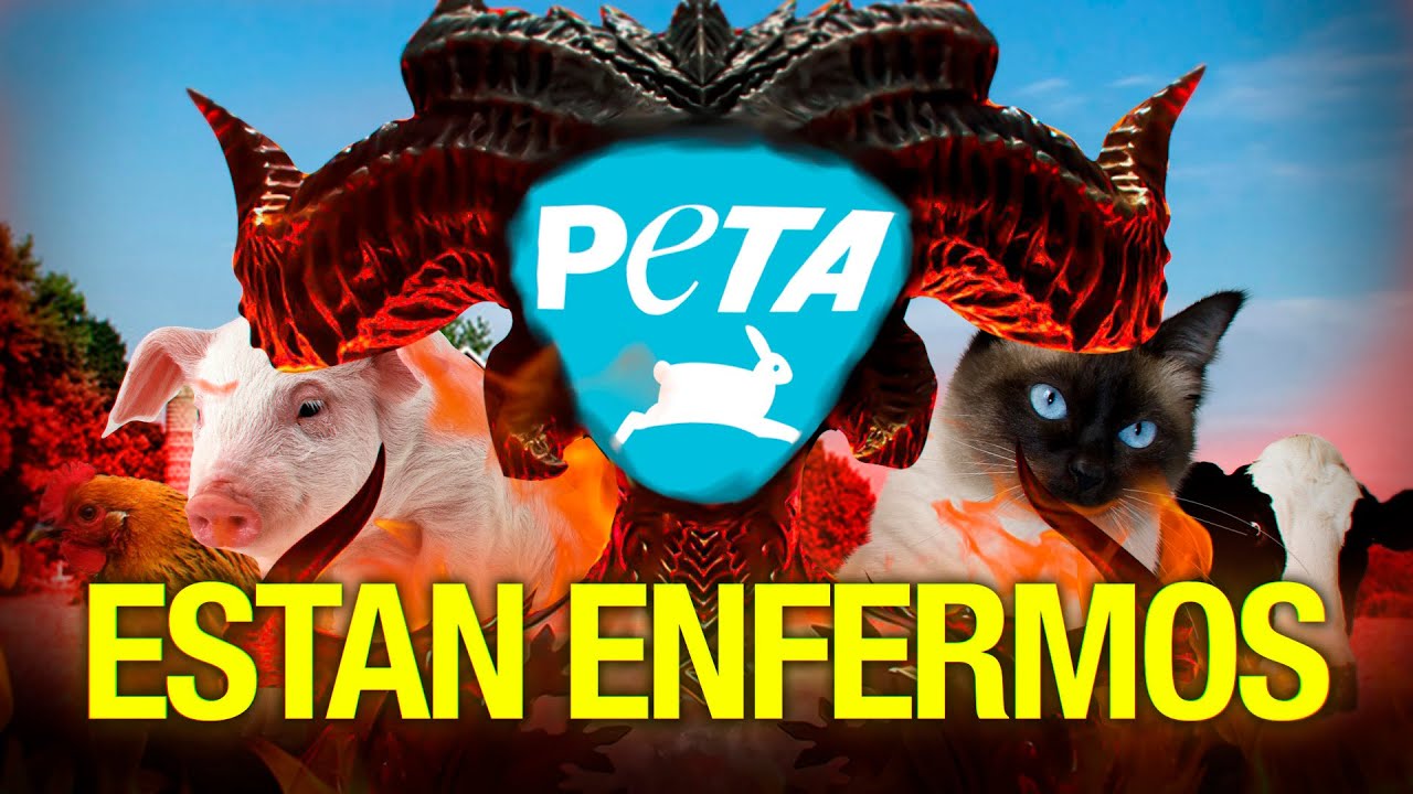 TODOS LOS CRIMENES Y POLEMICAS DE PETA EN 2025