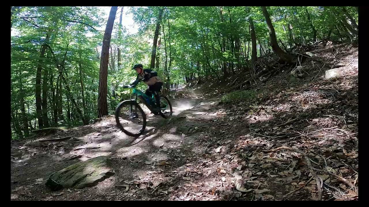 Komplette strecke  #video  #freeride #freeridemtb  #haibike #allmtn #pfälzerwald #mtb #emtb