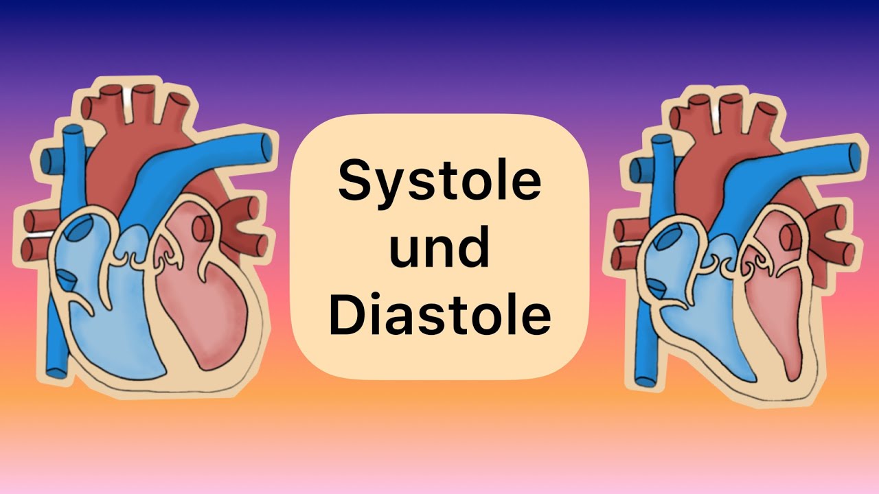 Systole und Diastole (Remake)