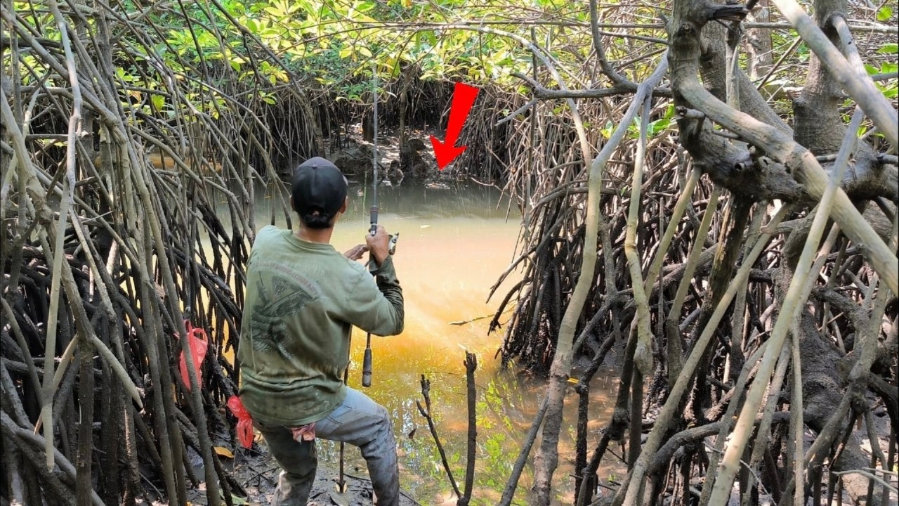 Spot Sempit Penuh Akar ‼️ sekali lempar Langsung Di Sambar 