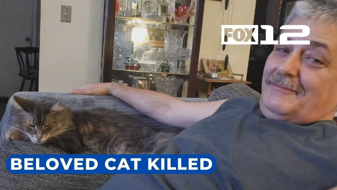 SE Portland man alleges neighbor, dog killed his cat; attack caught on camera
