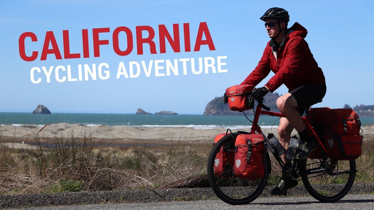 BIG BEARS & BIG CLIMBS: Northern California Redwoods Bike Tour - EP. #230