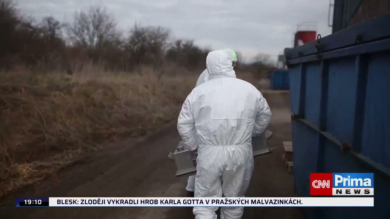 Likvidace chovů drůbeže v Dobřenicích