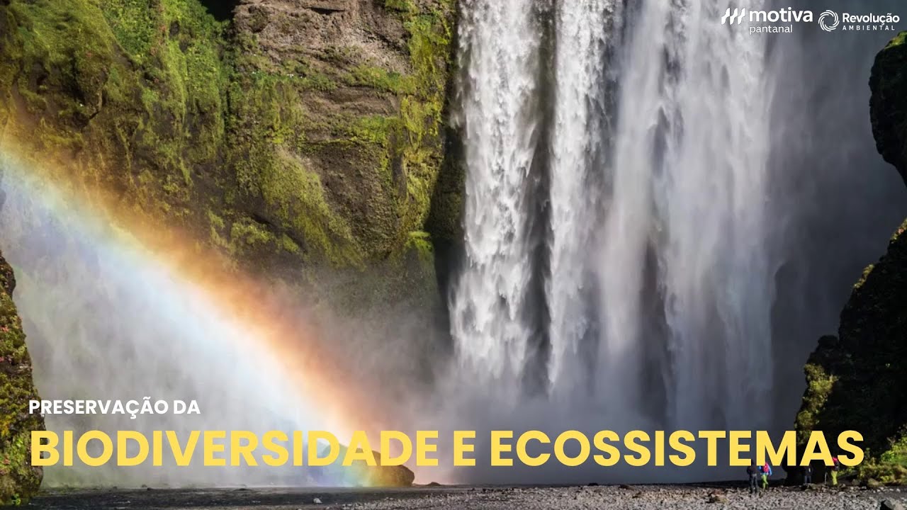 Preservação da Biodiversidade e Ecossistemas - Vídeo Aula