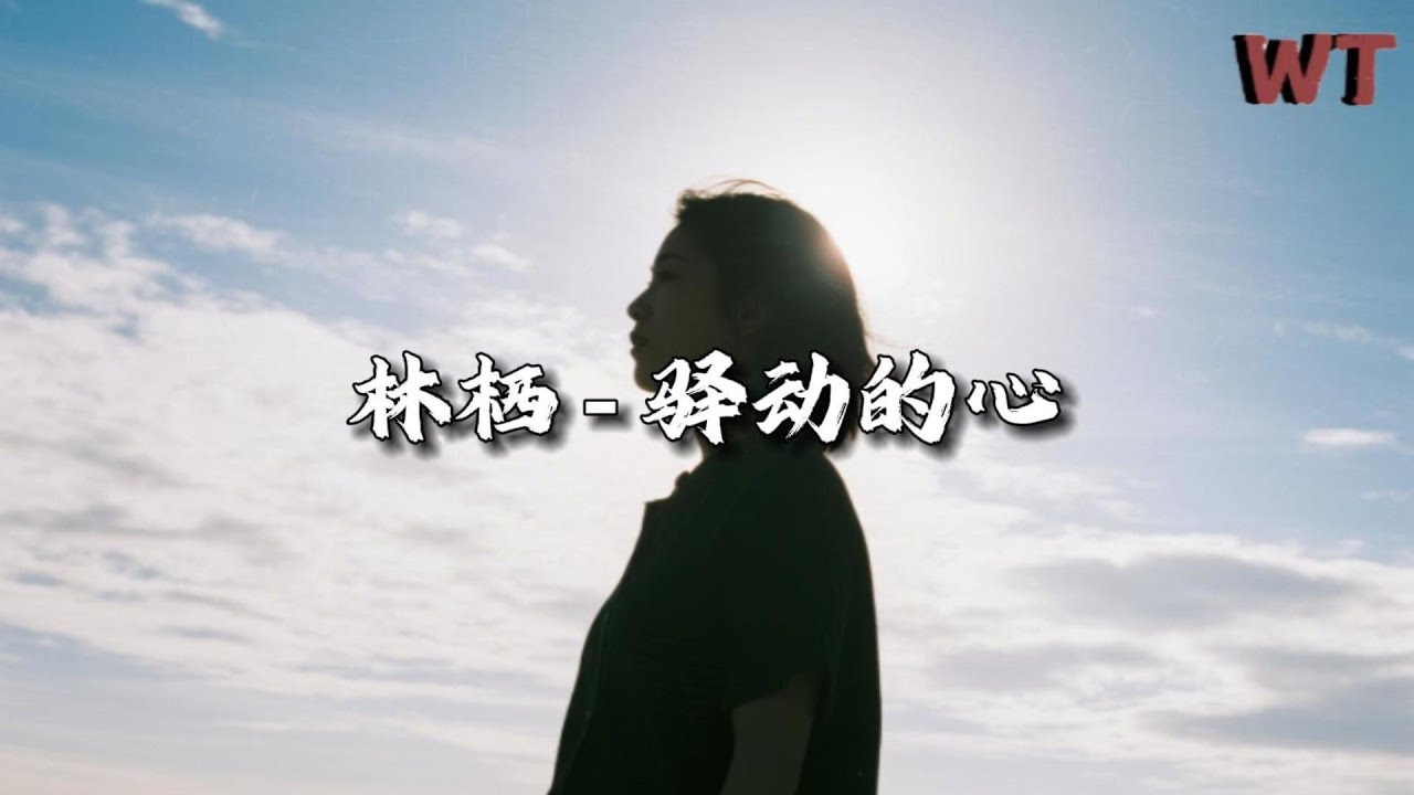 林栖 - 驿动的心『路过的人 我早已忘记，经过的事 已随风而去。』【动态歌词MV】