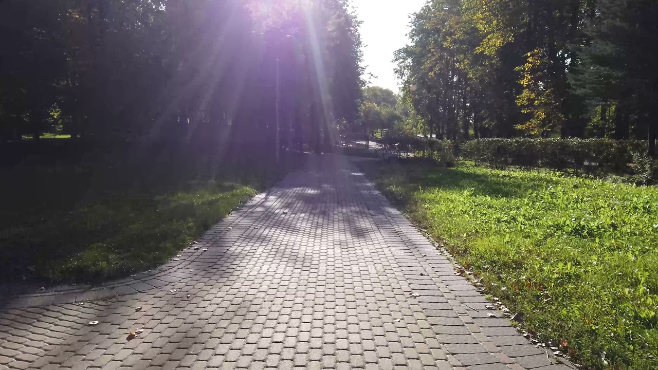 Minsk. Relaxing walk on a sunny autumn day, nature sounds for relaxation | 4k