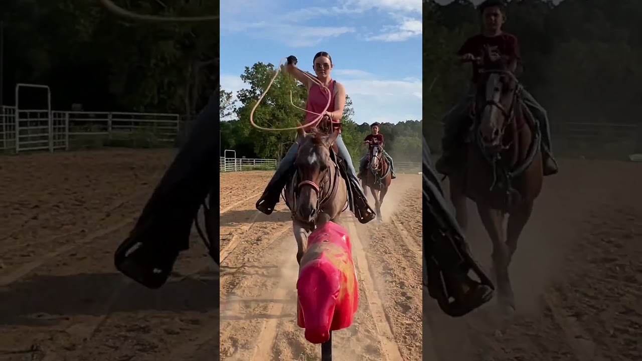 practicing for county rodeos!! #breakawayroping #horse #equestrian #fypage #roping #fypシ #calfroping