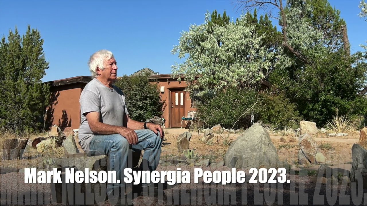 Mark Nelson. Synergia People 2023.