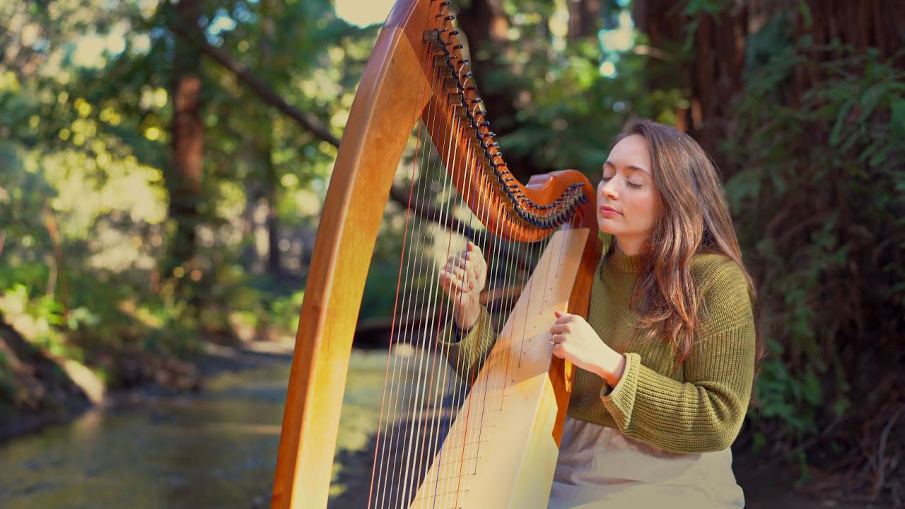 Healing Harp by the Redwood Brook (1 Hour) | Sarah Bhalla