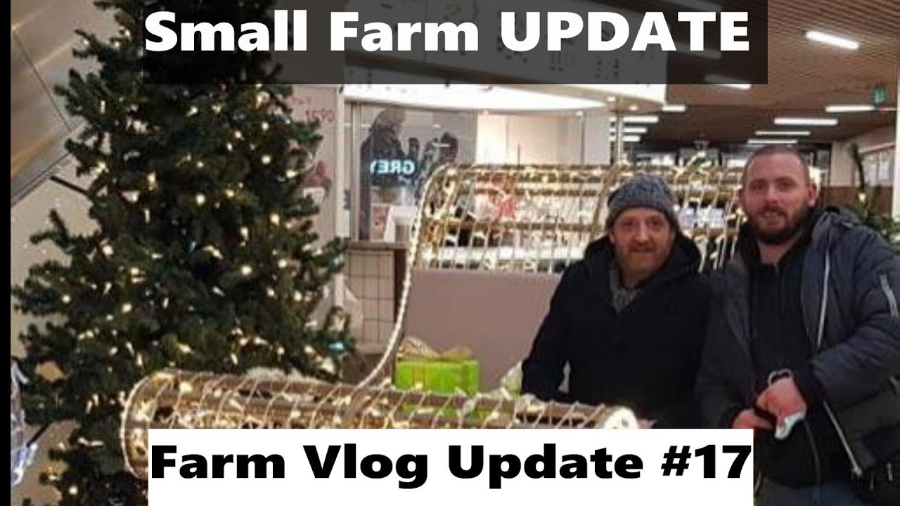 We need some down time on the Small Homestead - Homesteading Small farm Vlog Update #17