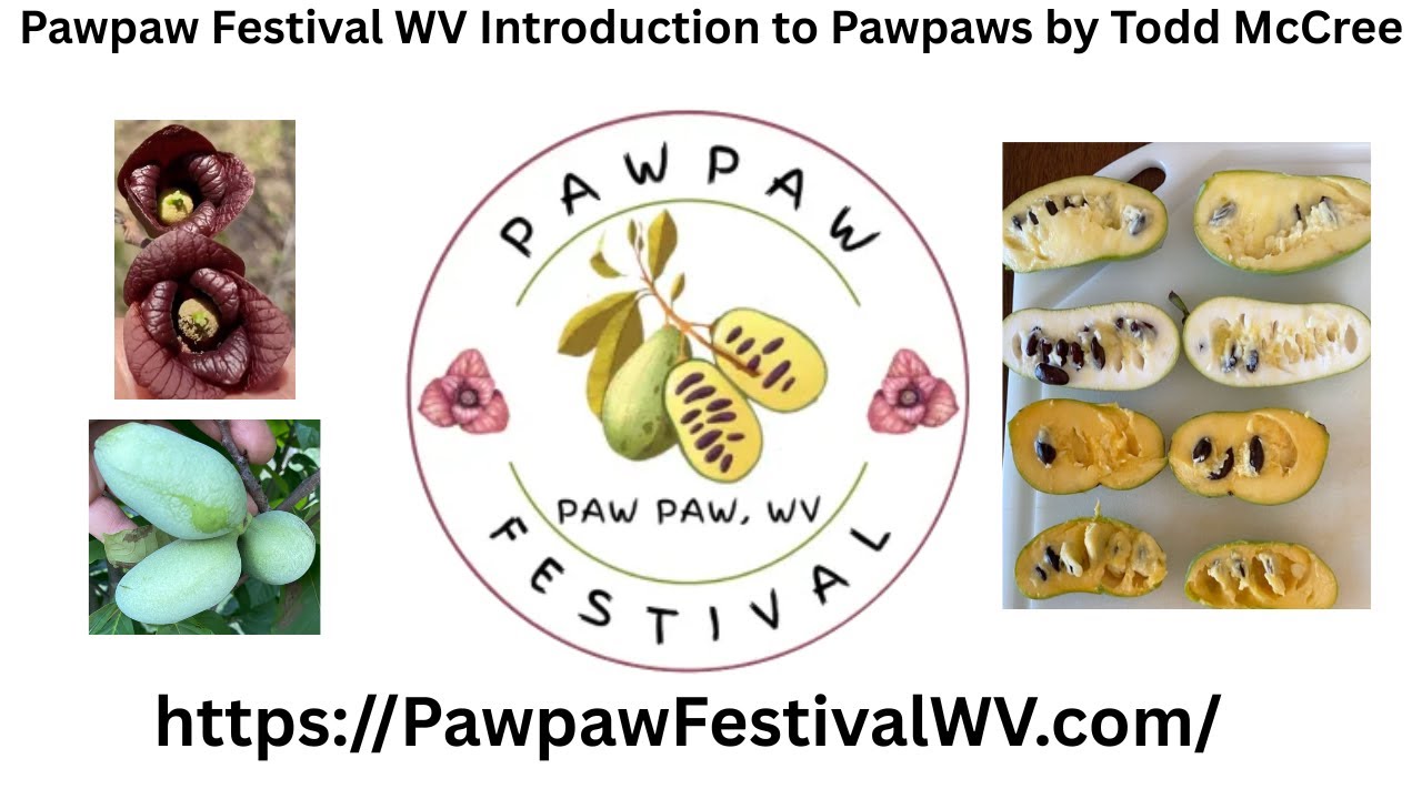 Фестиваль Pawpaw в Западной Вирджинии. Введение в Pawpaws от Тодда МакКри