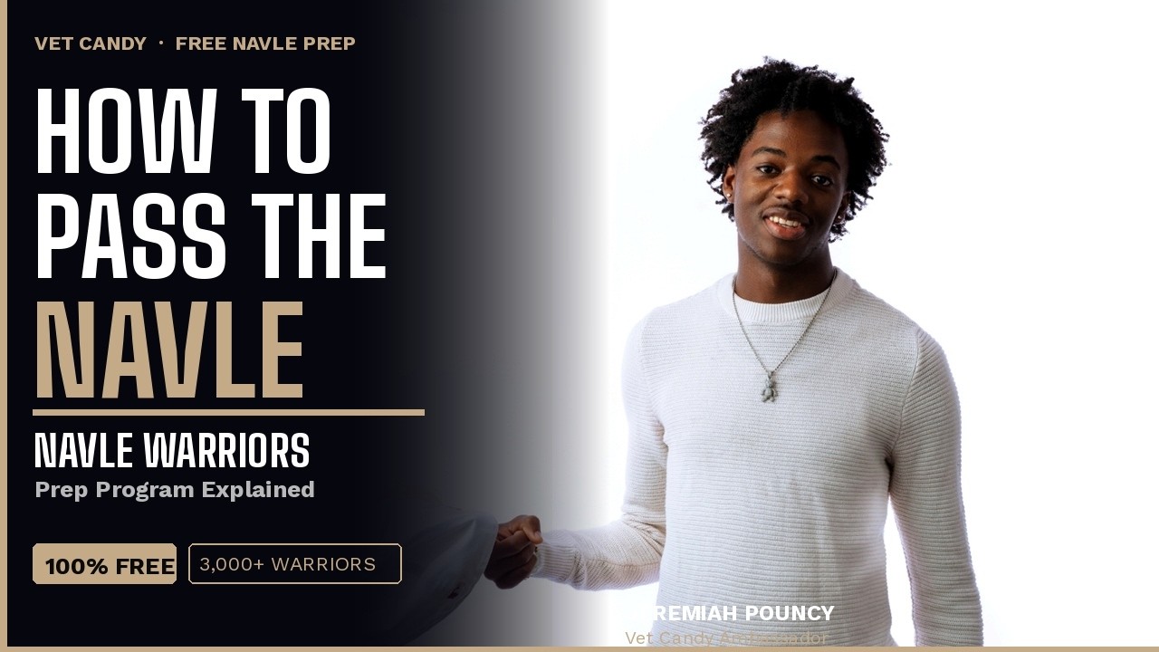 How to Pass the NAVLE | Vet Candy's NAVLE Warriors Prep Program Explained