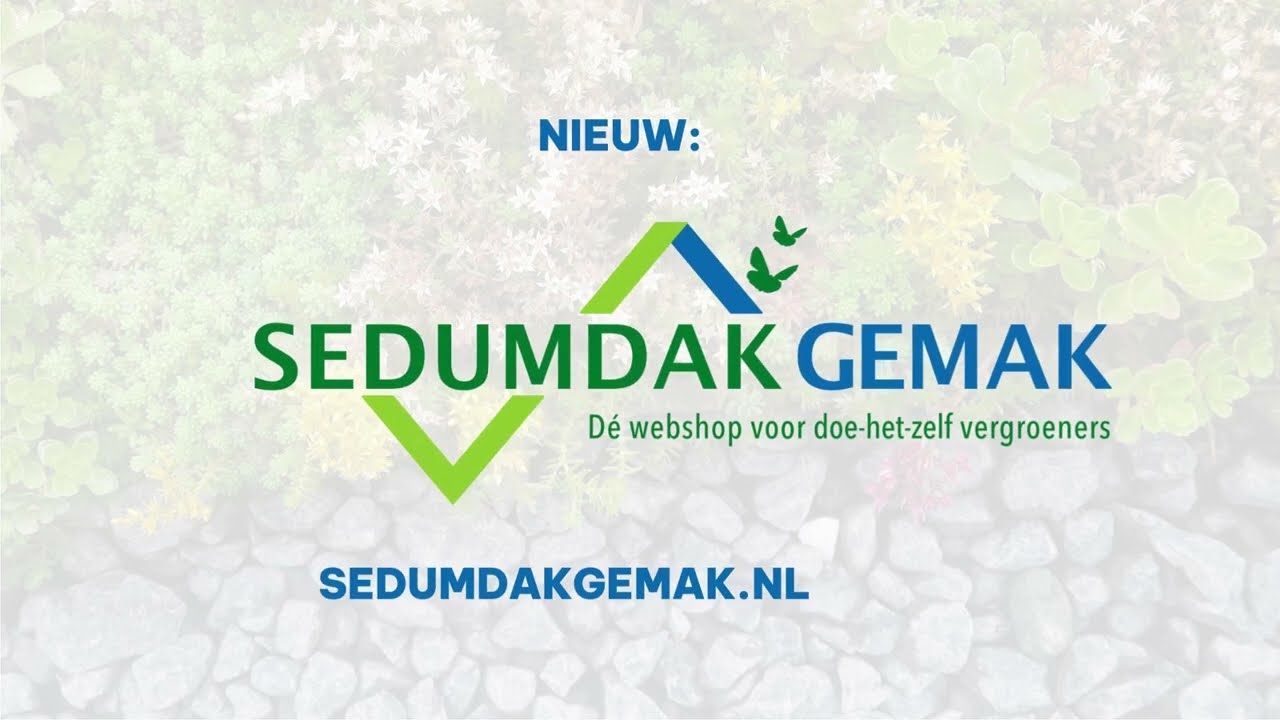 Introductie sedumdakgemak.nl