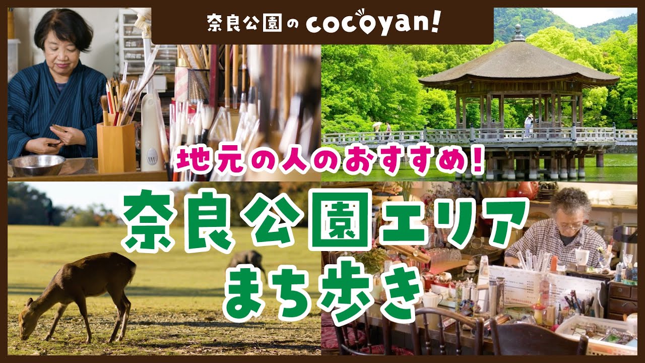 【奈良公園 観光】 cocoyan!   地元の人とつくる観光お出かけマップ！ 奈良公園篇