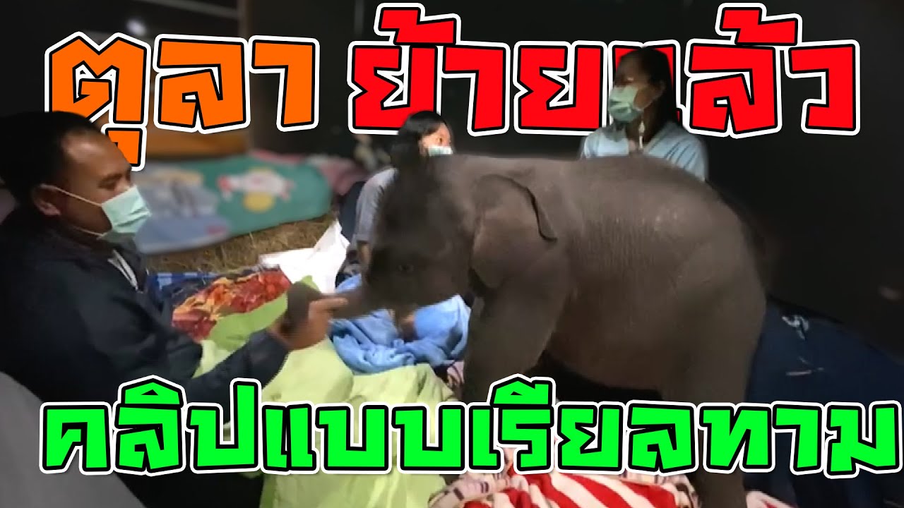 สรุปรายละเอียดพร้อมบรรยากาศบนรถระหว่างย้ายตุลาครบจบในคลิปนี้