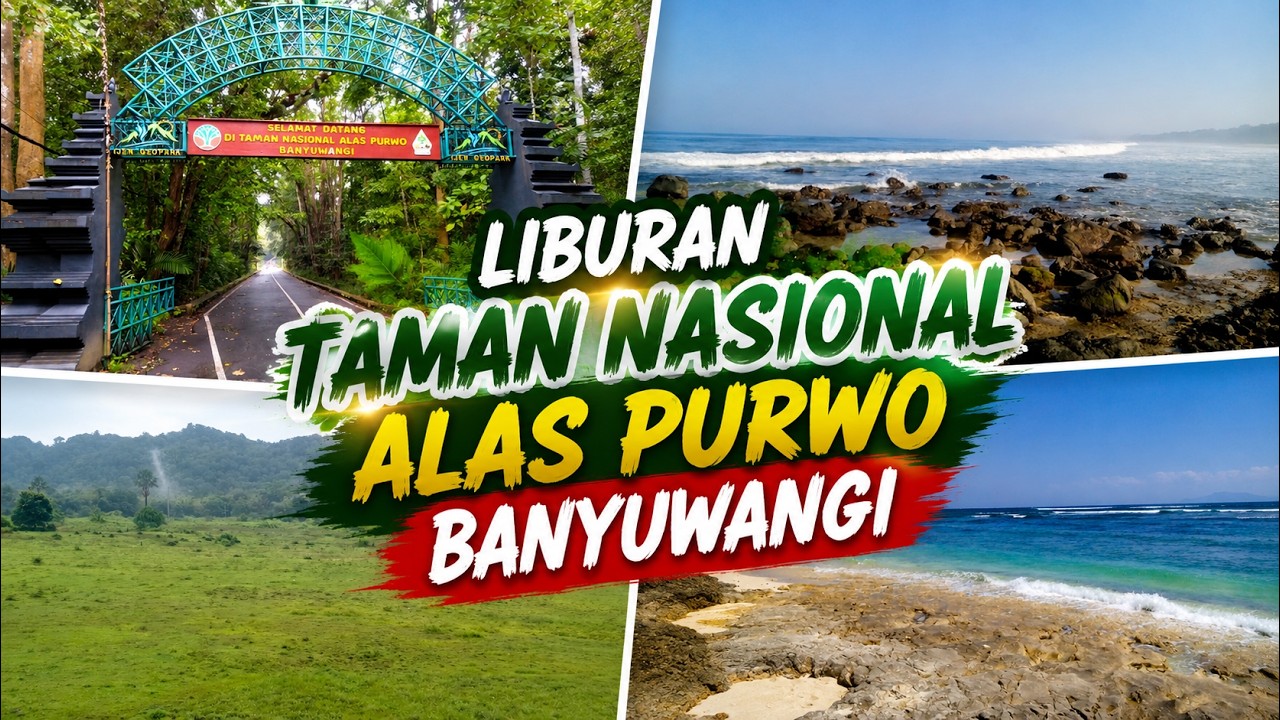 TAMAN NASIONAL ALAS PURWO TERBARU 2025 – DARI SAVANA SADENGAN, PANTAI TRIANGGULASI, & PANTAI PANCUR