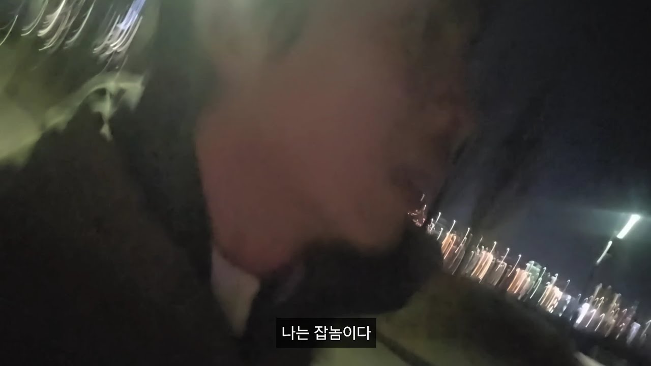 양재동 투 미사 퇴근런 20km 조깅