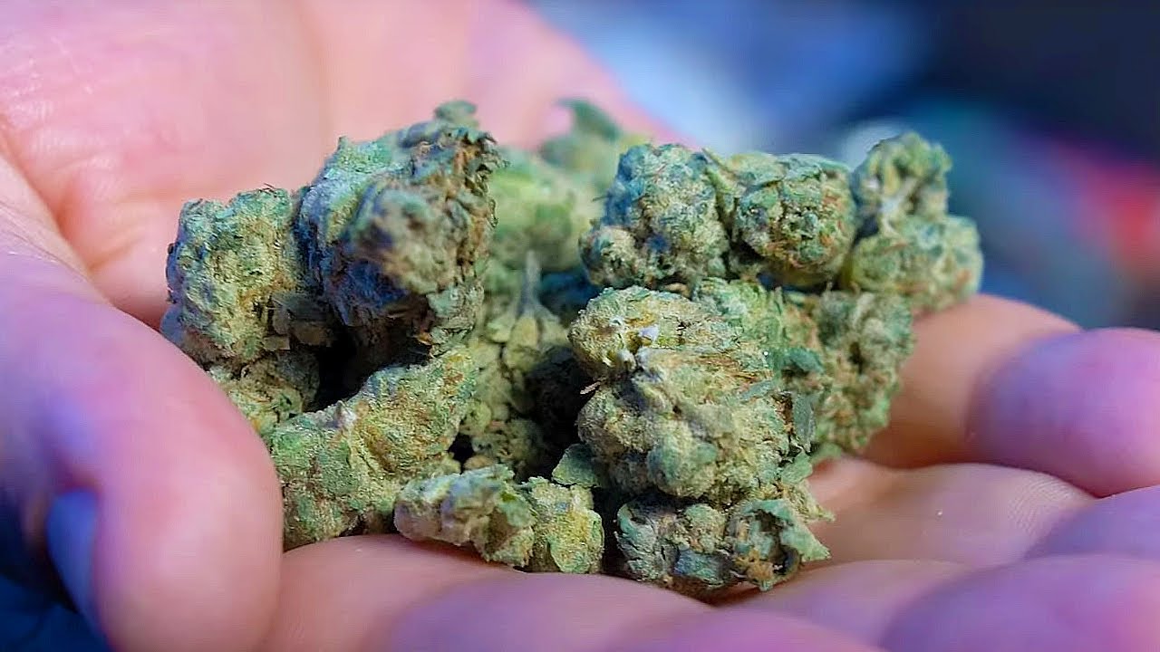 Vanilla Slumber Strain Review 🌿 Is This Mysterious Arkansas Bud a Hidden Gem or Just Mid?