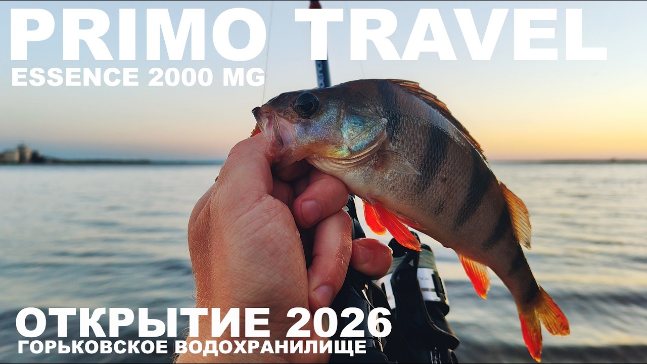 Супер чуйка спиннинга PRIMO TRAVEL. Открытие сезона 2026. Рыбалка на окуня
