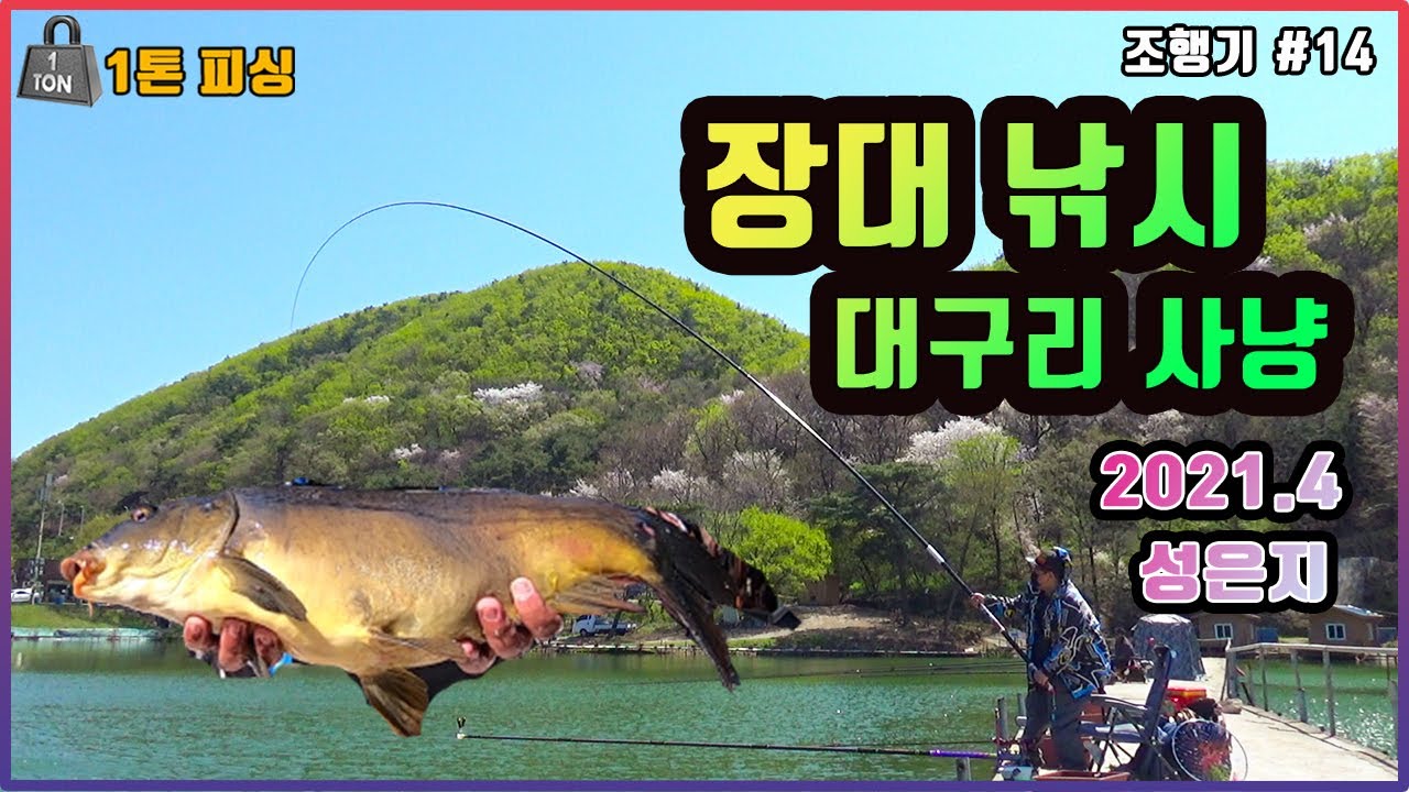 대구리만 골라잡는 장대낚시+150cm장찌 - [토코vs에코스페샬] #향어 #잉어 #대물낚시 #성은낚시터