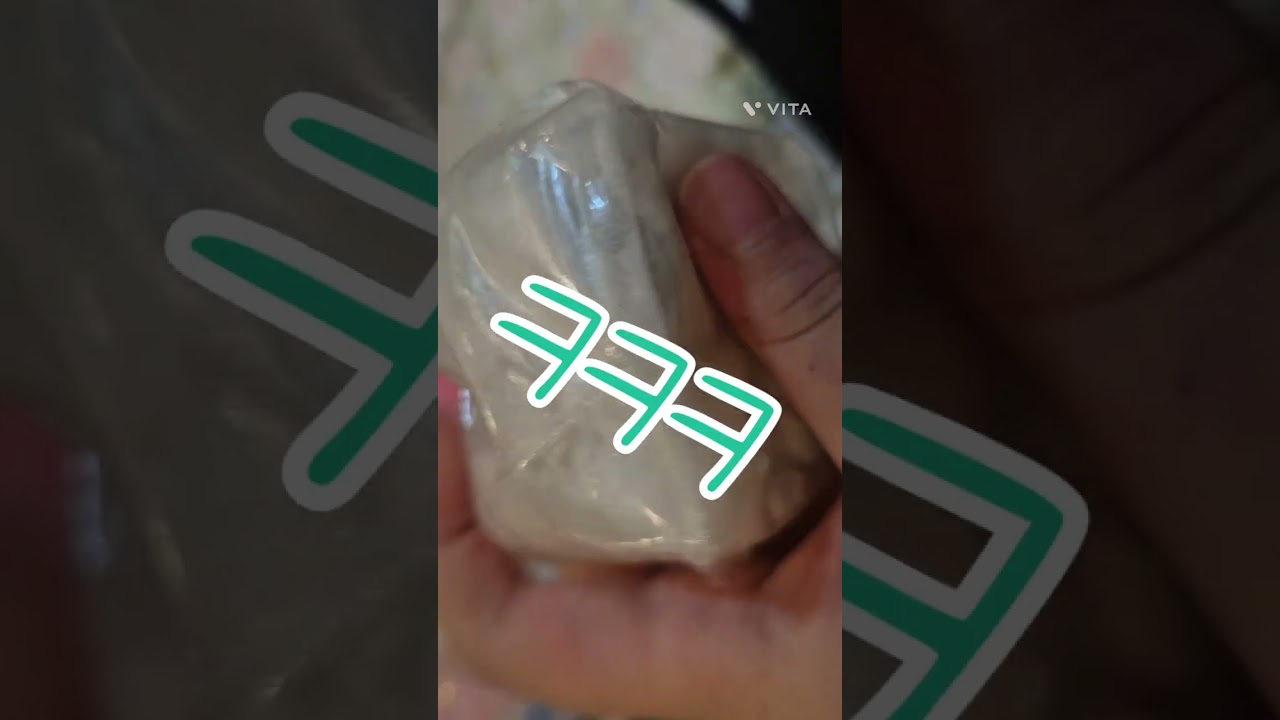 종스 소개 2탄