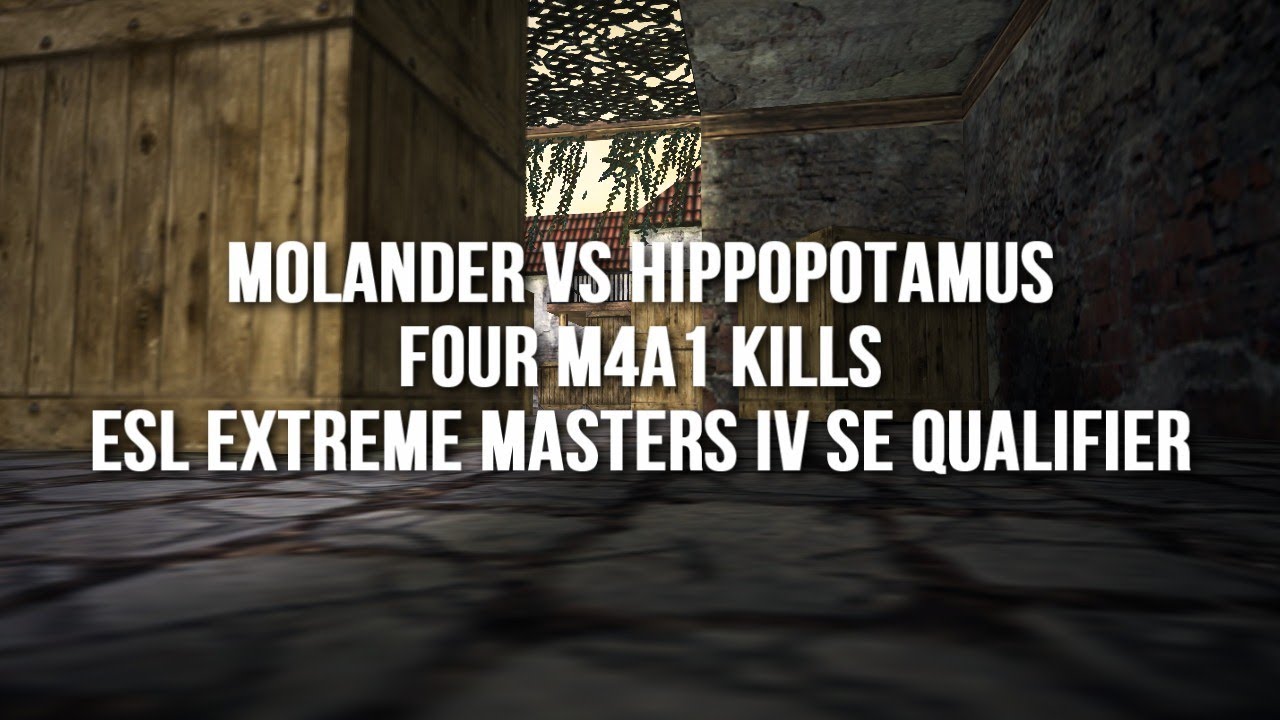 DomenikTV - molander vs hippopotamus [ESL Extreme Masters IV SE Qualifier]